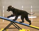 20140427-ag-0275