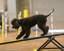 20140427-ag-0277