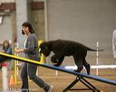 20140427-ag-0286