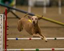 20140427-ag-0324