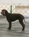 20140428-ob-0203