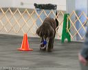 20140428-ob-0222