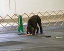 20140428-ob-0228