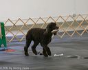 20140428-ob-0229