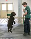 20140428-ob-0232