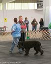 20140428-ob-0166