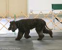 20140428-ob-0169