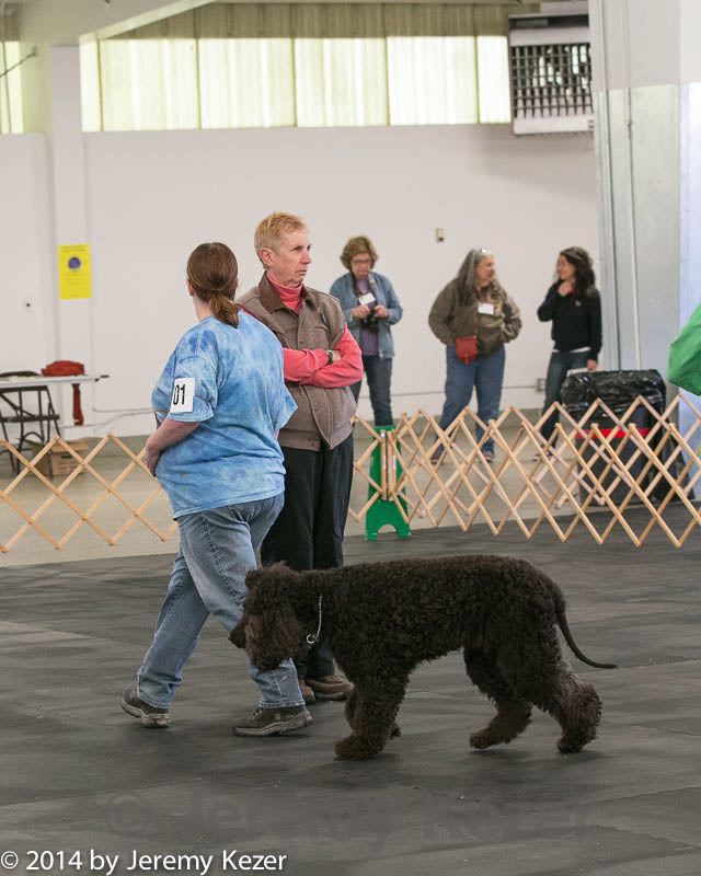 20140428-ob-0166.jpg