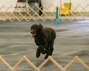 20140428-ob-0076
