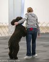 20140428-ob-0099