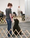 20140428-ob-0114