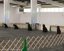 20140428-ob-0128