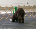 20140428-ob-0030