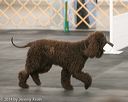 20140428-ob-0036