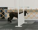20140428-ob-0040