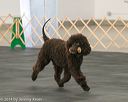 20140428-ob-0059