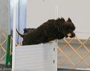 20140428-ob-0062
