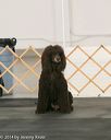 20140428-ob-0067