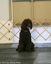 20140428-ob-0068
