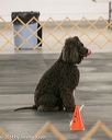 20140428-ra-0021