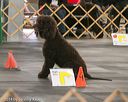 20140428-ra-0028