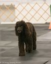 20140428-ra-0042
