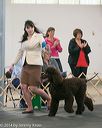 20140429-co-0046