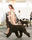 20140429-co-0577
