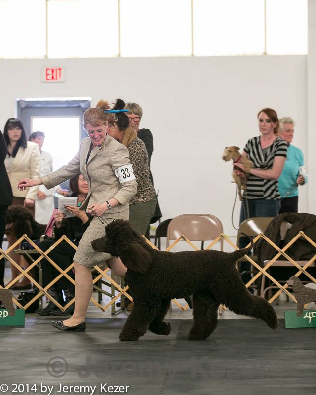 20140429-co-0723.jpg