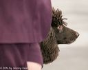 20140429-co-0355