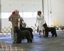 20140429-co-0734
