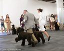20140429-co-0740
