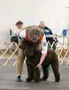20140429-co-0517