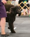 20140429-co-0520