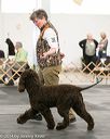 20140429-co-0539