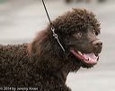 20140429-co-0391