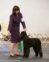 20140429-co-0433