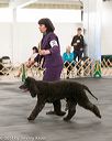 20140429-co-0443