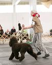 20140429-co-0467