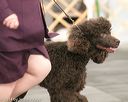 20140429-co-0492