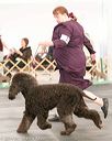 20140429-co-0497