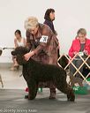 20140429-co-0502