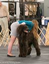 20140429-co-0195