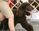 20140429-co-0424