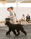 20140429-co-0425