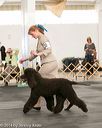 20140429-co-0427