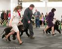 20140429-co-0757
