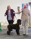 20140429-sw-0195