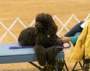 20140430-co-0089