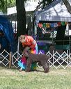 20140607-0460